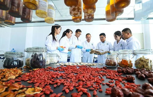科技賦能，張掖植物工廠(chǎng)助力農(nóng)特產(chǎn)品提質(zhì)增效